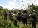 Educação Ambiental