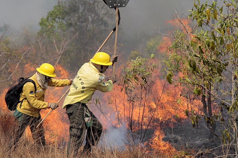 Brigadistas no Xingu