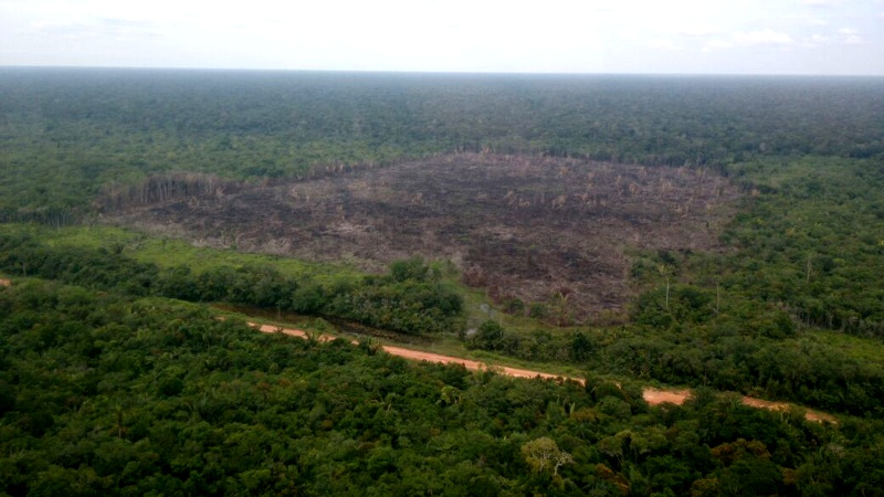 Ibama embarga 2 mil hectares ao longo da BR-319